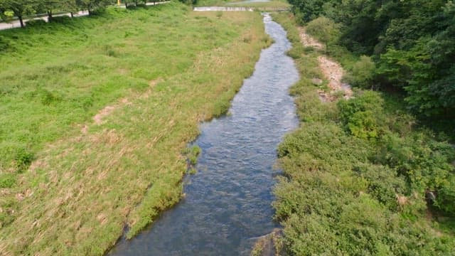 Serene river flowing through lush green fields