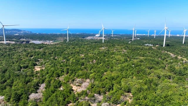 Wind turbines over a lush green forest