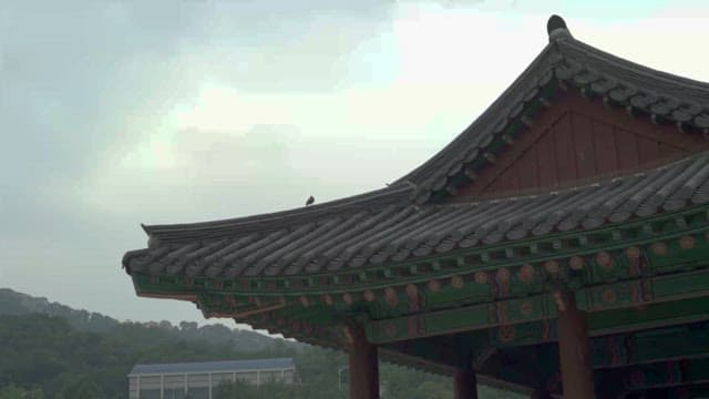 Bird on the Roof of a Traditional Korean Building