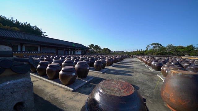 Traditional Korean Jars Displayed Frontyard