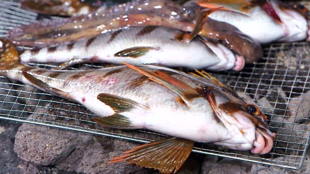Fresh fish prepared on a grill over a stone hearth