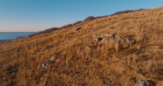 Serene Coastal Landscape with Grazing Deer