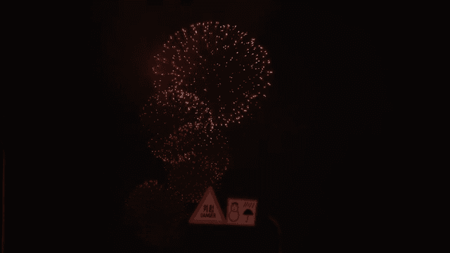 Fireworks lighting up the night sky