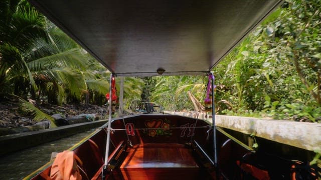 Taking a boat ride through lush rainforest on a clear day