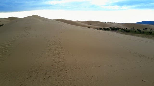 Expansive desert landscape with dunes