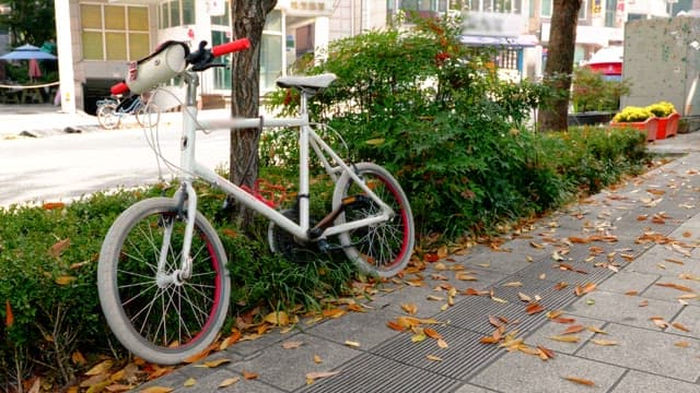 Bicycle parked on a tree-lined sidewalk on an autumn day