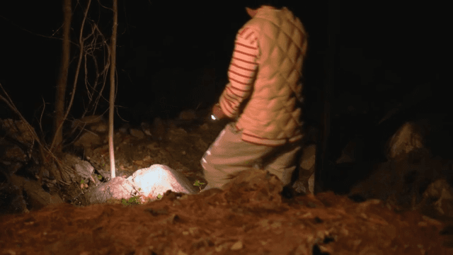 Person walking through a dark forest at night with a flashlight