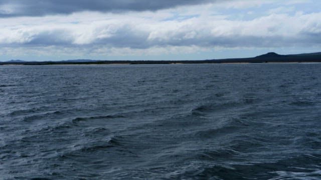 Whale Breaching in Ocean Landscape