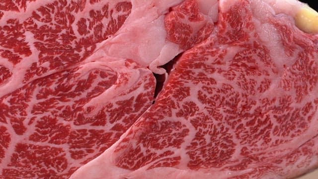 Close-up of marbled beef texture