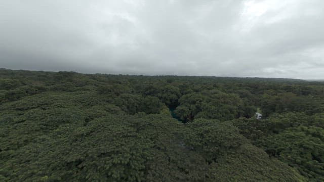 Clear and blue lake in the middle of a rainforest full of greenery