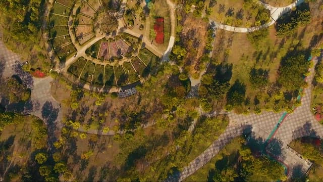 Overhead View of a Lush Park with Pathways