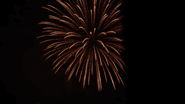 Fireworks lighting up the night sky