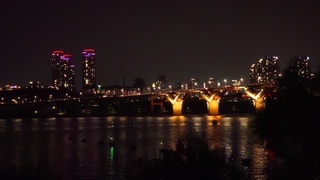 Night view of the bridge over the river and the city lights shining