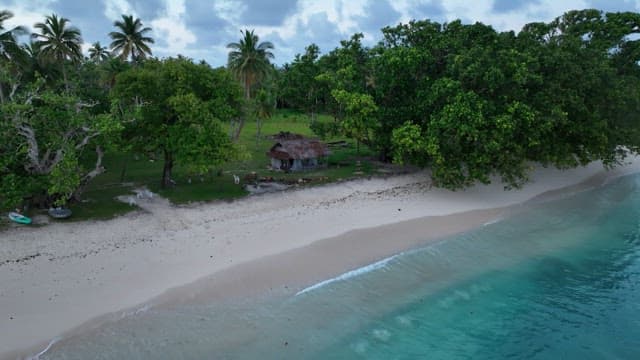 Serene beach with a small hut and lush trees