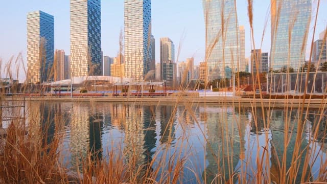 Tall buildings reflected in a calm lake