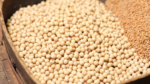 Soybeans, grains and salt on a wooden tray