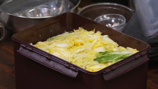 Hands covering a plastic bin filled with napa cabbage
