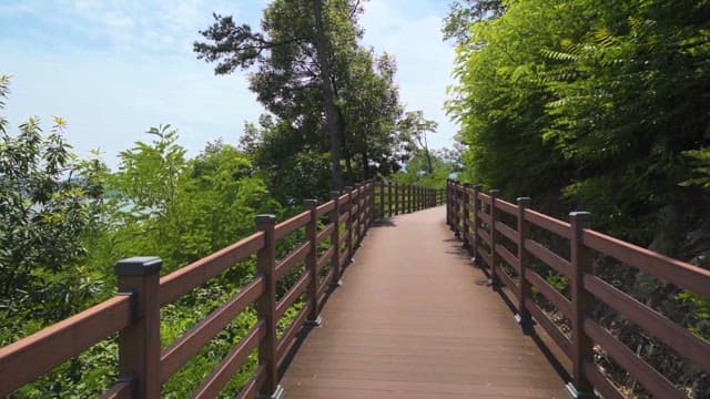 Sunny walkway through vibrant green park