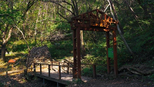 Gate and bridge of a bridge in a lush forest