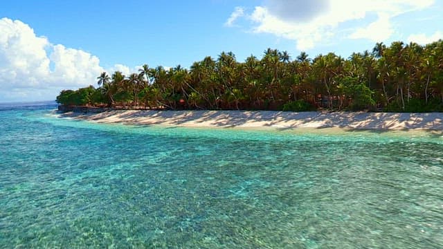 View of a Tropical Island Beach