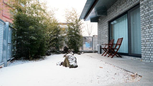 Snow-covered backyard with bamboo and chairs