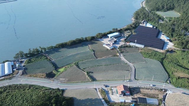 Coastal Countryside with Agricultural Fields