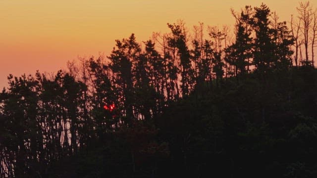 Sunset behind a forest