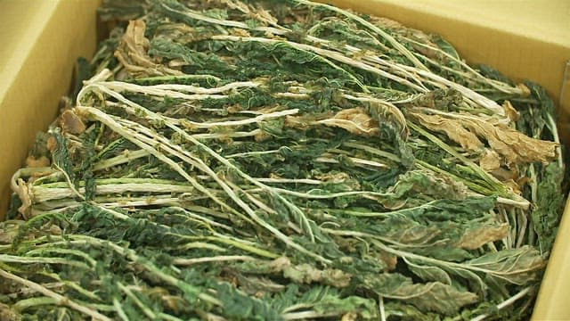 Dried radish greens neatly packed in boxes for sale