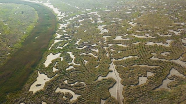 Scenery of wide open fields