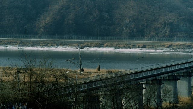 Birds Flying Across a Bridge over a Snow-Covered River