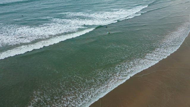 Surfers riding waves at the beach