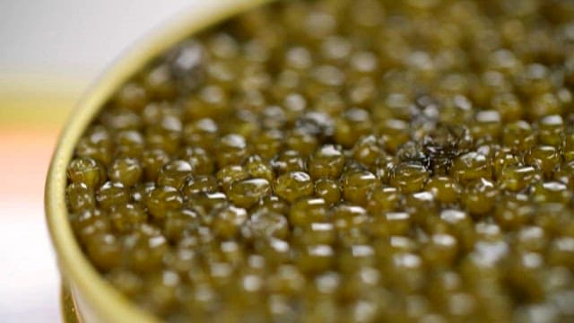 Shimmering Caviar, a Luxury Ingredient in a Can