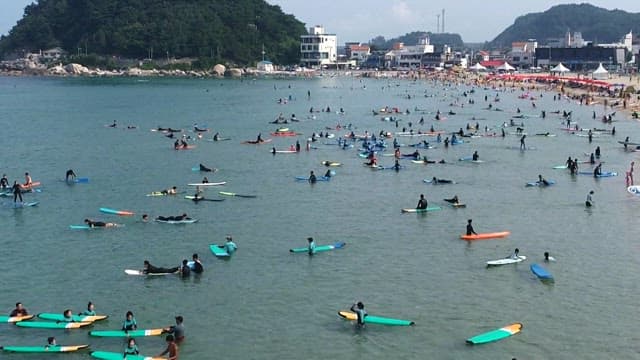Crowd Enjoying Water Sports like Surfing at a Busy Beach