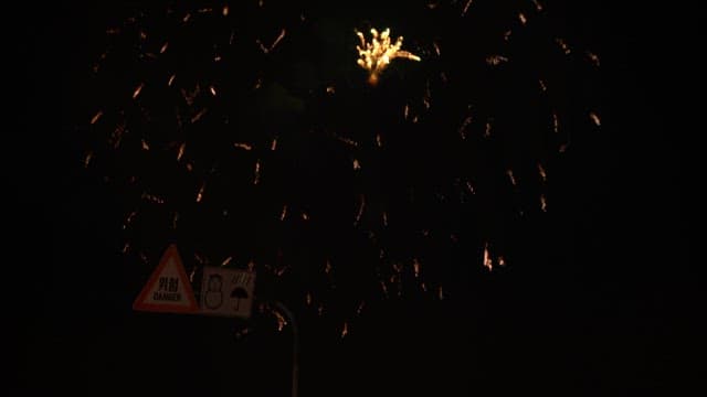 Fireworks lighting up the night sky