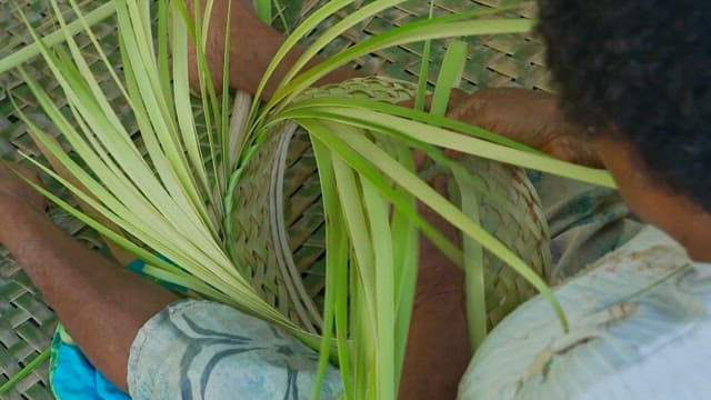 Person weaving a basket with palm leaves