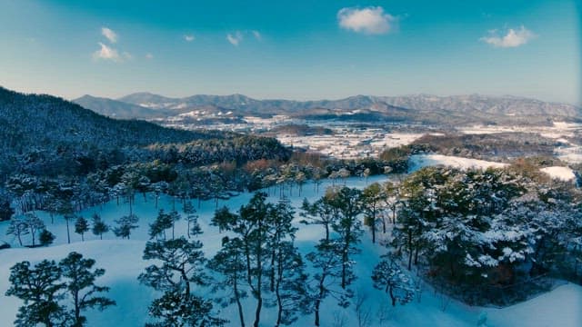 Snow-covered landscape with trees and mountains