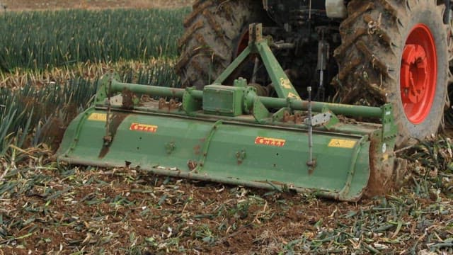 Tractor plowing a green onion field