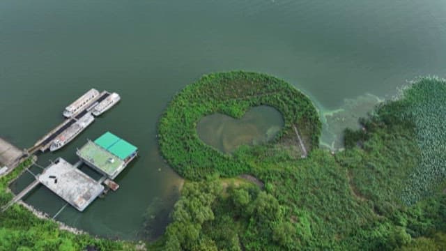 Aerial View of a Heart-Shaped Water Plant Island