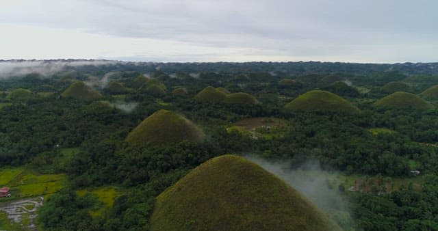 Chocolate Hills Surrounded by Lush Green Forests