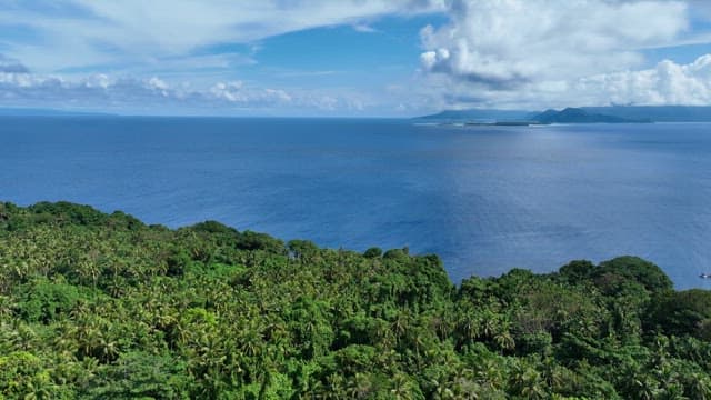 Serene landscape of blue sea and forest on a sunny day