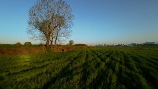 Lush Fields with Distant Roads