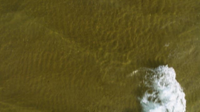 Aerial view of a beach with waves and people