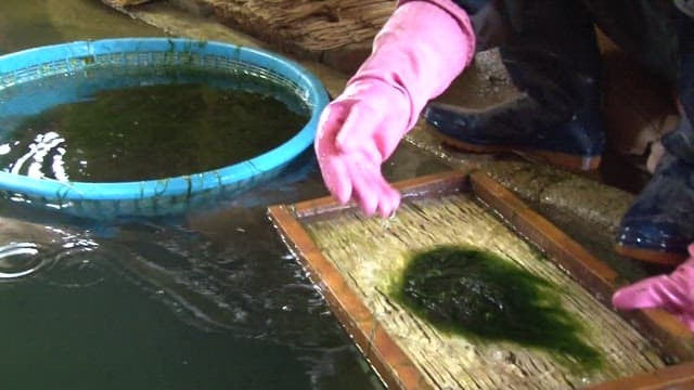 The process of making gamtae