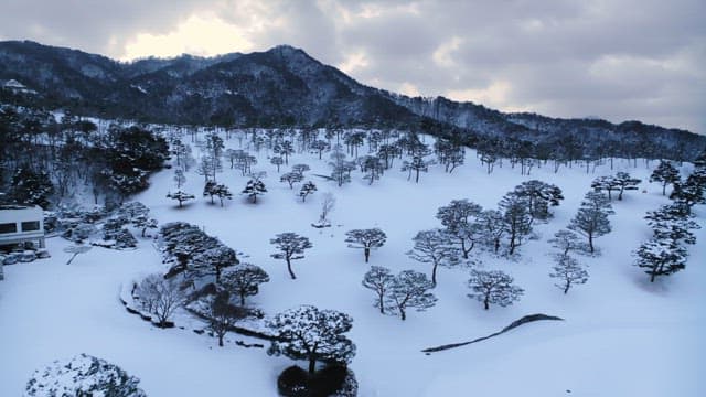 Snowy Mountain Landscape with Trees