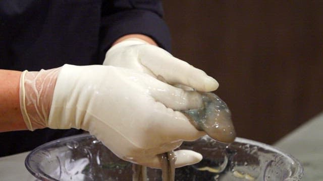 Cleaning octopus with gloved hands