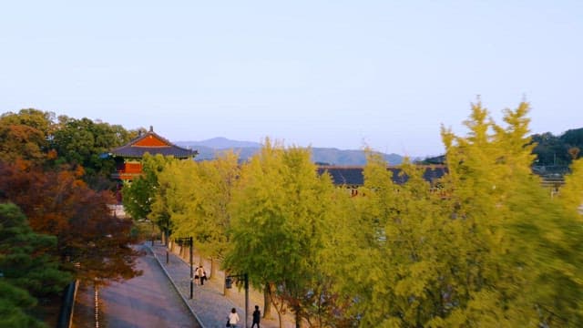 Traditional Korean Bridge over a Calm River