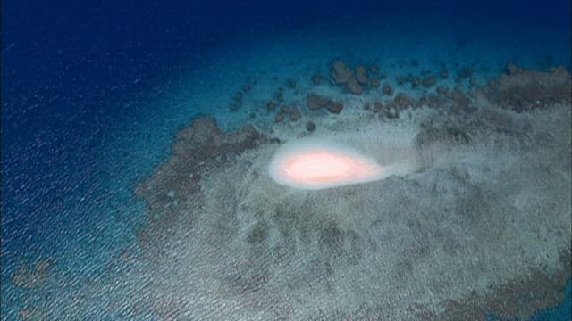View of a Secluded Beach