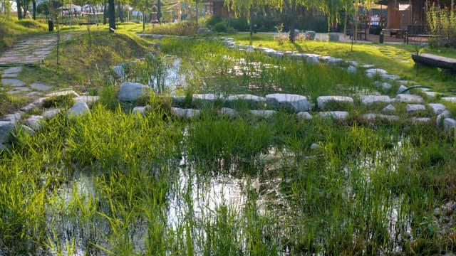 Tranquil park with a pond and pathways
