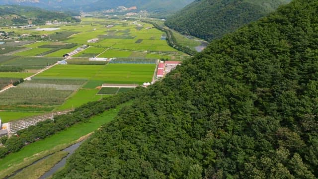 Expansive farmland with lush greenery