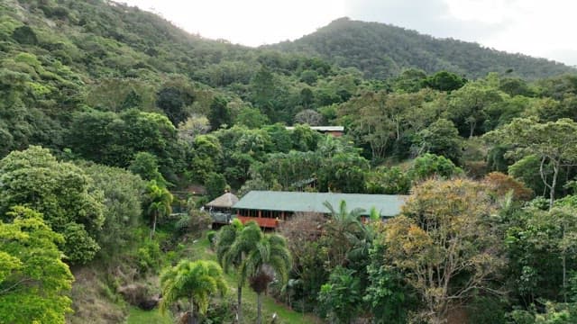 Accommodation surrounded by dense forest and mountains
